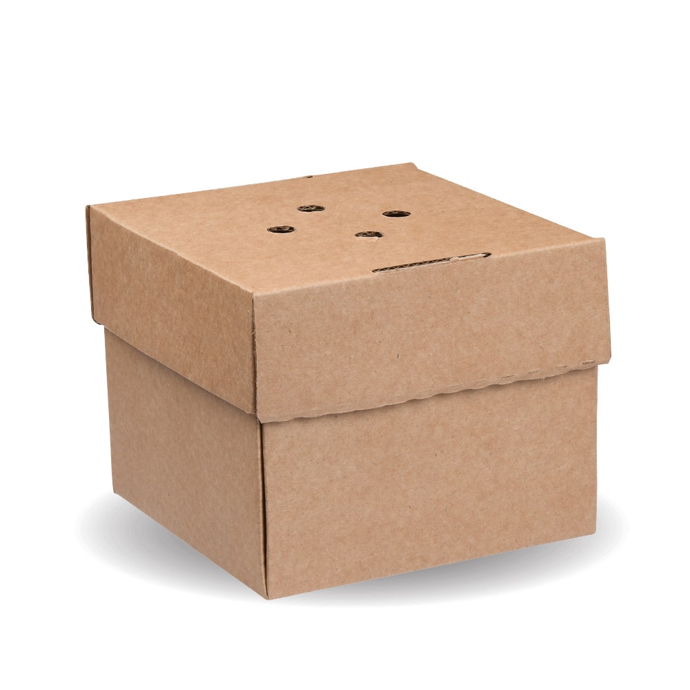 BioBoard Delivery Burger Box - Kraft - 100/ctn - kraft - BioPak commercial catering consumable