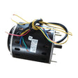 AD447 Buffalo Motor JD Catering Equipment Solutions Ltd