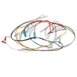 AK810 Buffalo Main Wire Harness - JD Catering Equipment Solutions Ltd