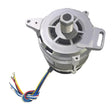 AM363 Buffalo Motor - JD Catering Equipment Solutions Ltd
