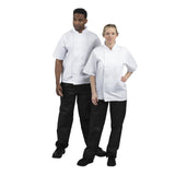 B250-L Whites Boston Unisex Short Sleeve Chefs Jacket White L JD Catering Equipment Solutions Ltd