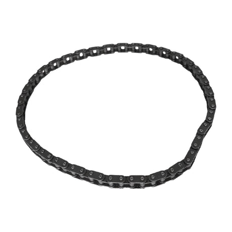 Buffalo Chain 06B-1-92L Fits CP821 JD Catering Equipment Solutions Ltd