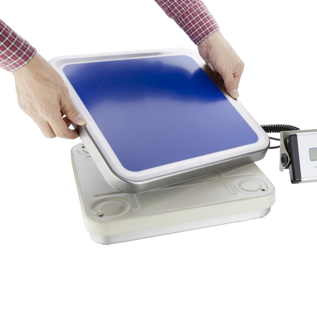 CD564 Vogue Electric Bench Scales 30kg JD Catering Equipment Solutions Ltd