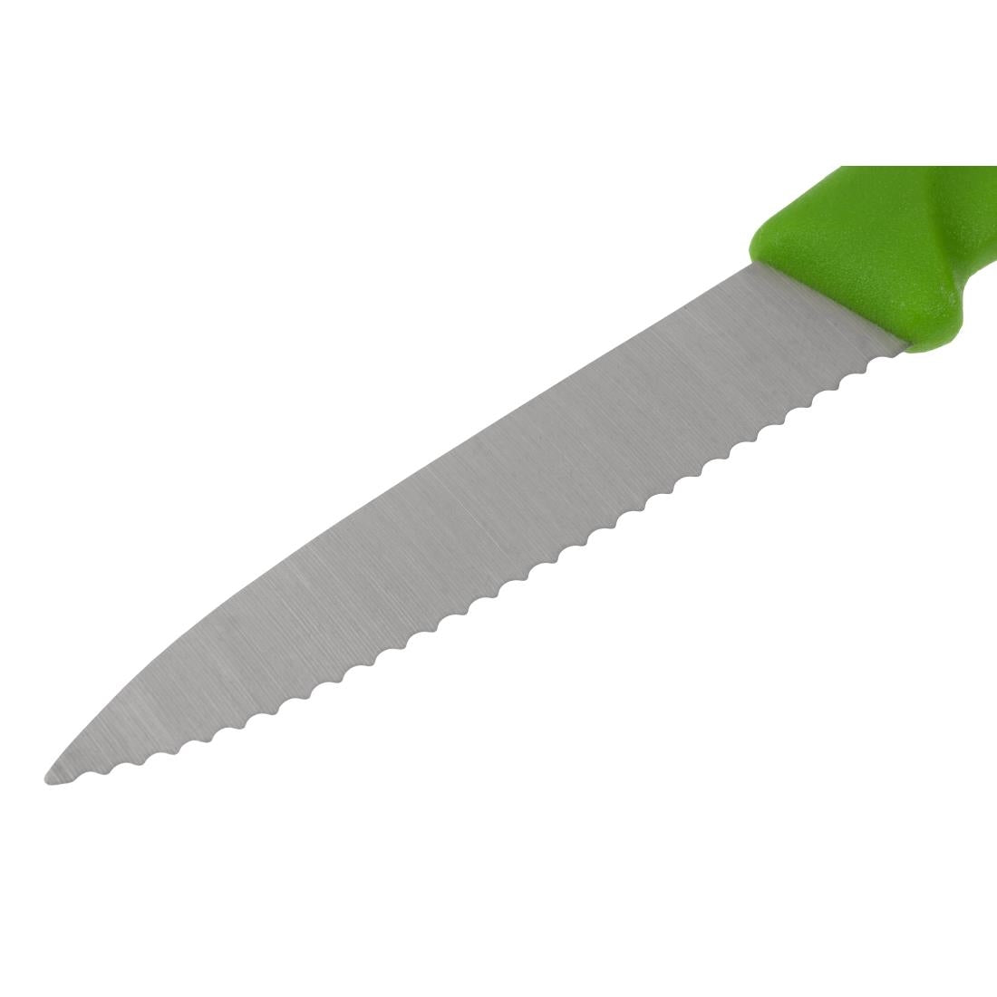CP841 Victorinox Serrated Paring Knife Green 8cm JD Catering Equipment Solutions Ltd