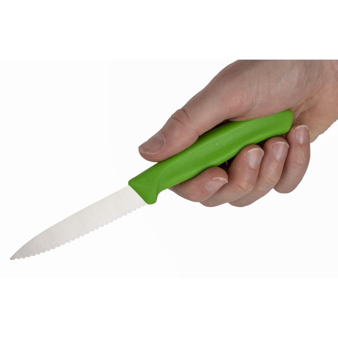 CP841 Victorinox Serrated Paring Knife Green 8cm JD Catering Equipment Solutions Ltd