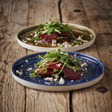 CX641 Churchill Stonecast Plume Walled Plates Ultramarine 260mm (Pack of 6) JD Catering Equipment Solutions Ltd