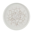 CX677 Churchill Studio Prints Kintsugi Agate Walled Plates Grey 260mm (Pack of 6) JD Catering Equipment Solutions Ltd