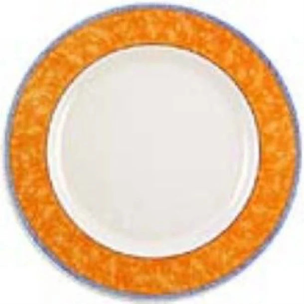 Churchill New Horizons Marble Border Classic Plates Orange 280mm (Pack of 12) JD Catering Equipment Solutions Ltd