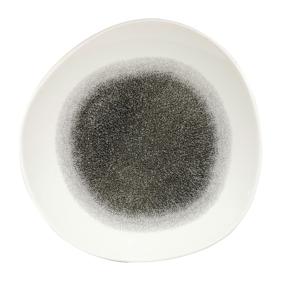 Churchill Studio Prints Raku Round Trace Plates Quartz Black 286mm (Pack of 12) JD Catering Equipment Solutions Ltd