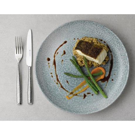 DE888 Churchill Studio Prints Raku Round Coupe Bowl Topaz Blue 248mm (Pack of 12) - JD Catering Equipment Solutions Ltd