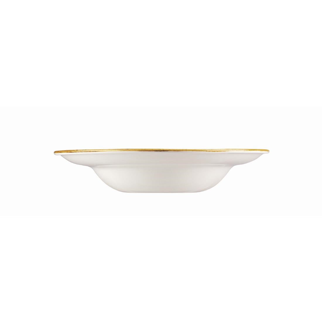 DF800 Churchill Stonecast Round Wide Rim Bowl Duck Egg Blue 280mm (Pack of 12) JD Catering Equipment Solutions Ltd