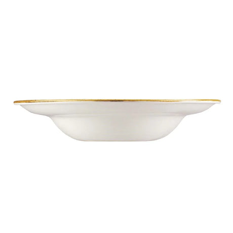 DF801 Churchill Stonecast Round Wide Rim Bowl Duck Egg Blue 240mm (Pack of 12) - JD Catering Equipment Solutions Ltd