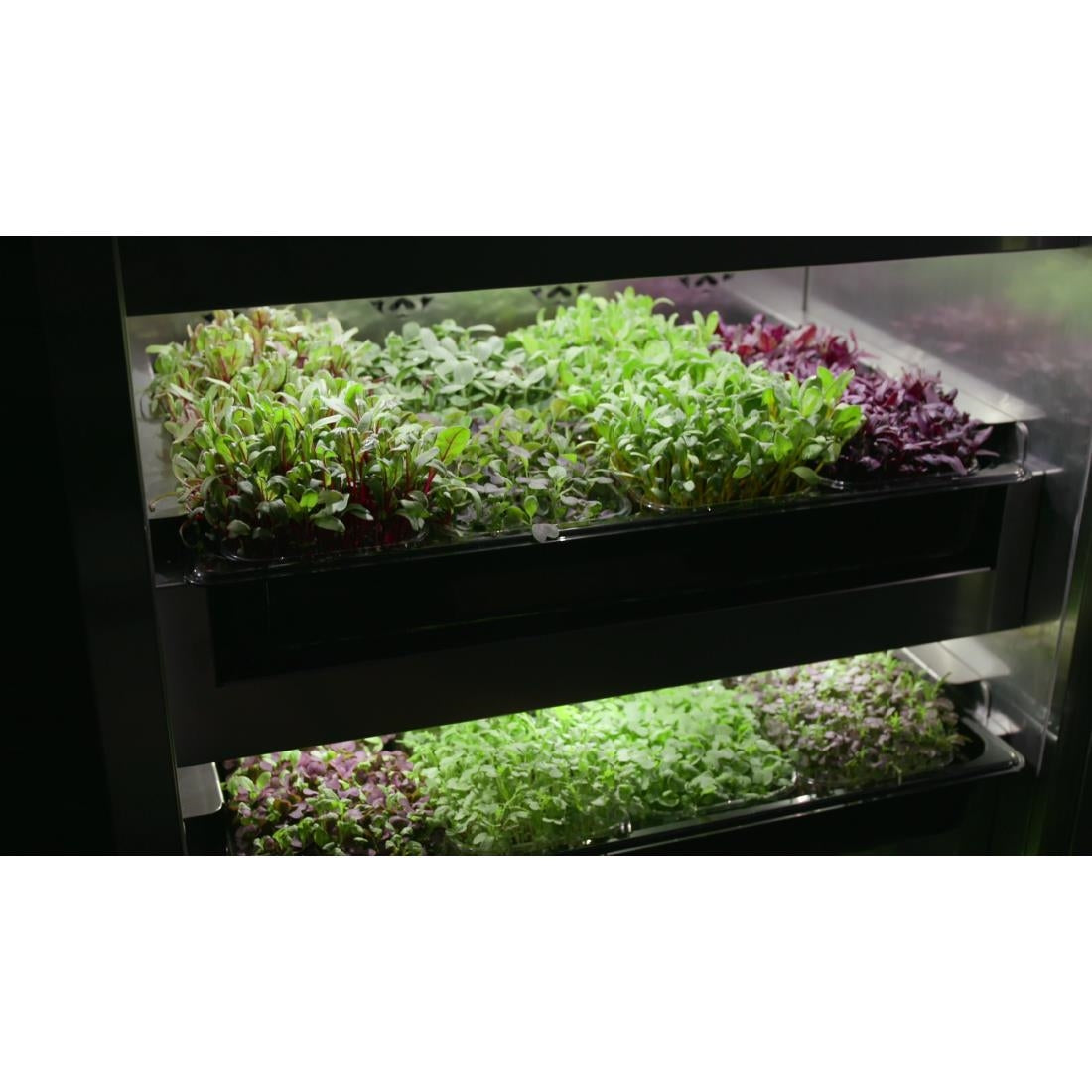 DF966 Evogro Plant Growing System 40132-WS R JD Catering Equipment Solutions Ltd