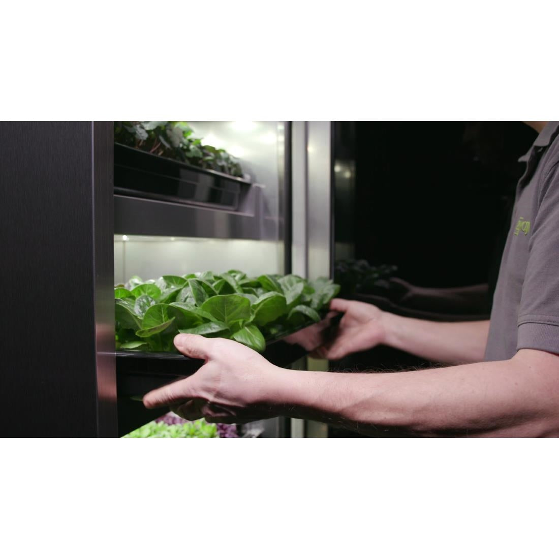 DF966 Evogro Plant Growing System 40132-WS R JD Catering Equipment Solutions Ltd