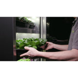DF966 Evogro Plant Growing System 40132-WS R JD Catering Equipment Solutions Ltd
