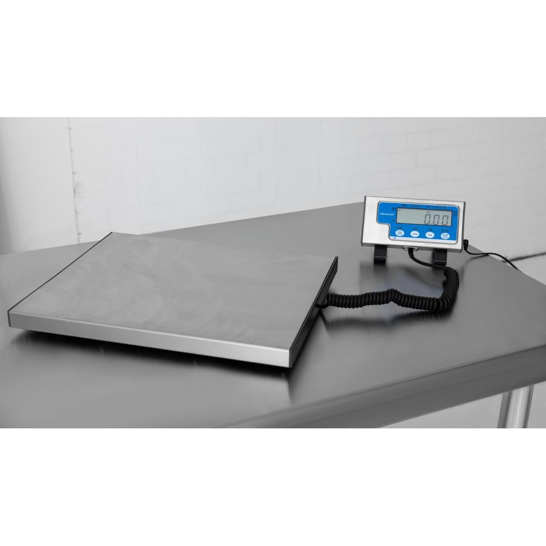 DP033 Salter Bench Scales 60kg WS60 JD Catering Equipment Solutions Ltd