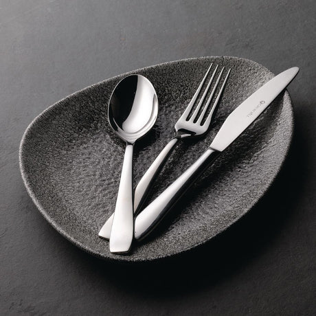 FA732 Churchill Cooper Dessert Spoons (Pack of 12) - JD Catering Equipment Solutions Ltd