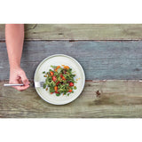FB564 Olympia Cavolo Flat Round Plates Spring Green 270mm (Pack of 4) JD Catering Equipment Solutions Ltd