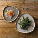 FR032 Churchill Stonecast Grey Triangle Walled Chefs Plate 260mm (Pack of 6) JD Catering Equipment Solutions Ltd