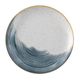 FS869 Churchill Stonecast Accents Evolve Coupe Plate Blueberry 260mm (Pack of 12) JD Catering Equipment Solutions Ltd