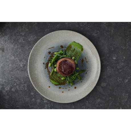 FS916 Churchill Raku Duo Agate Evolve Coupe Plate Topaz 286mm (Pack of 12) - JD Catering Equipment Solutions Ltd