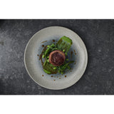 FS917 Churchill Raku Duo Agate Evolve Coupe Plate Topaz 260mm (Pack of 12) JD Catering Equipment Solutions Ltd