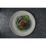 FS918 Churchill Raku Duo Agate Evolve Coupe Plate Topaz 219mm (Pack of 12) JD Catering Equipment Solutions Ltd