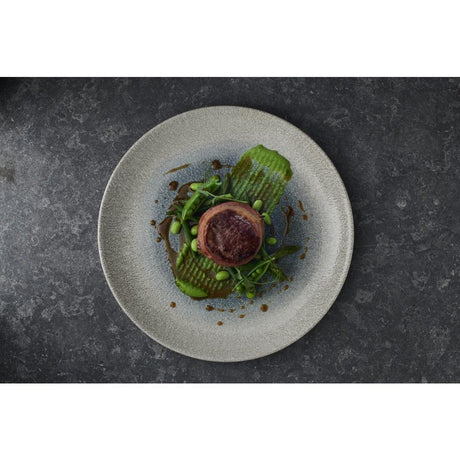 FS918 Churchill Raku Duo Agate Evolve Coupe Plate Topaz 219mm (Pack of 12) - JD Catering Equipment Solutions Ltd