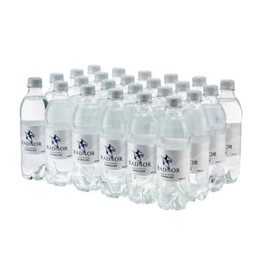 FW855 Radnor Hills Sparkling Water 500ml (Pack of 24) - JD Catering Equipment Solutions Ltd