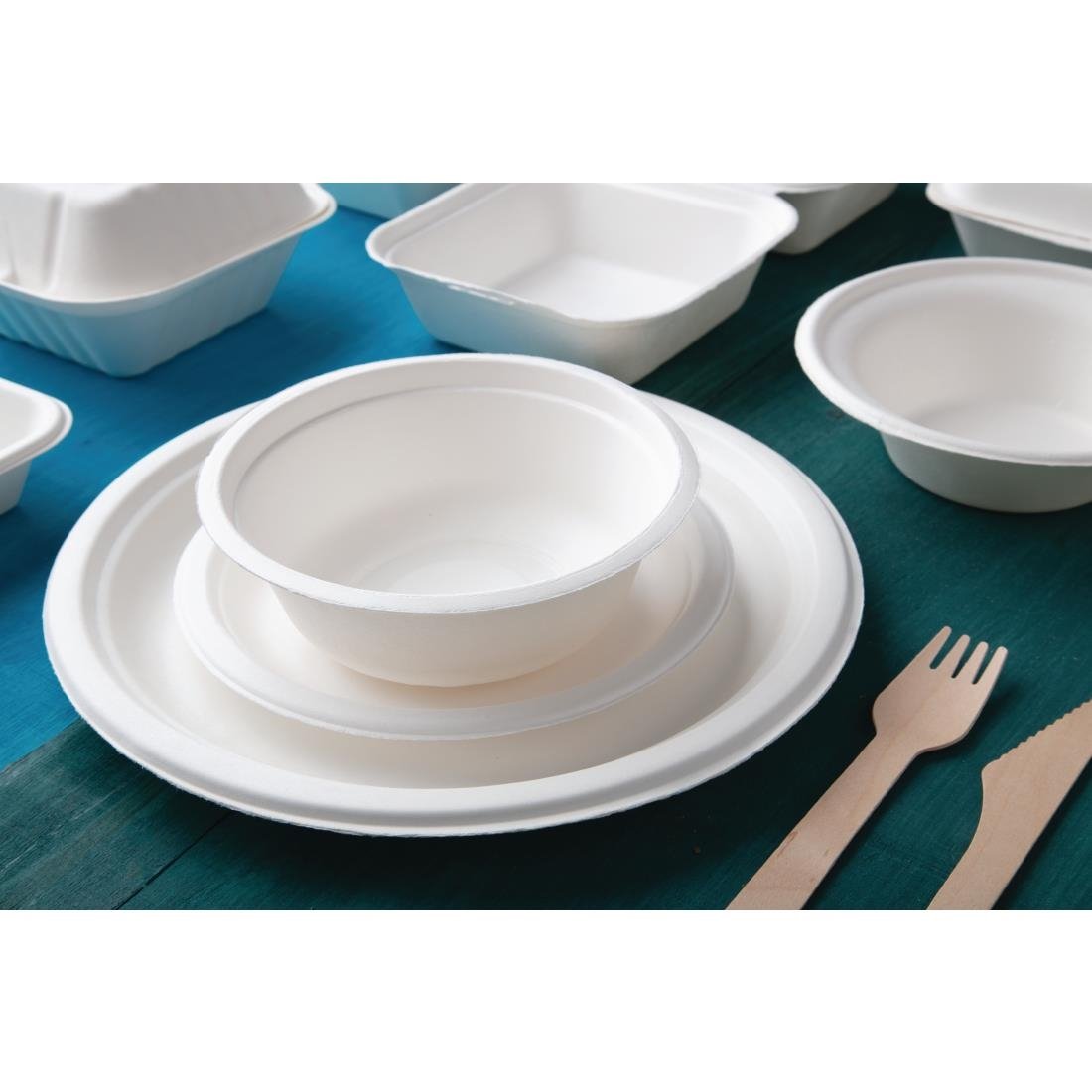 Fiesta Green Compostable Bagasse Plates Round (Pack of 50) JD Catering Equipment Solutions Ltd