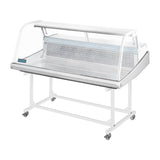 GE961 Polar G-Series Fish Display Serve Over Counter Fridge 255Ltr JD Catering Equipment Solutions Ltd