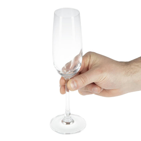 GF728 Olympia Modale Crystal Champagne Flutes 215ml (Pack of 6) JD Catering Equipment Solutions Ltd