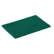 Jantex Scourer Green (Pack of 10) JD Catering Equipment Solutions Ltd