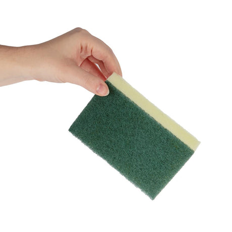 Jantex Sponge Scourers (Pack of 10) JD Catering Equipment Solutions Ltd