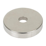 AJ605 Buffalo Magnet