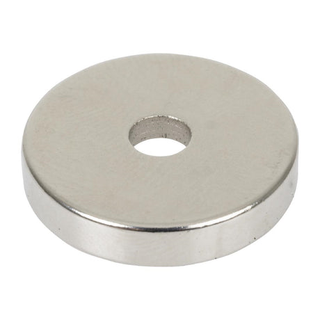 AJ605 Buffalo Magnet