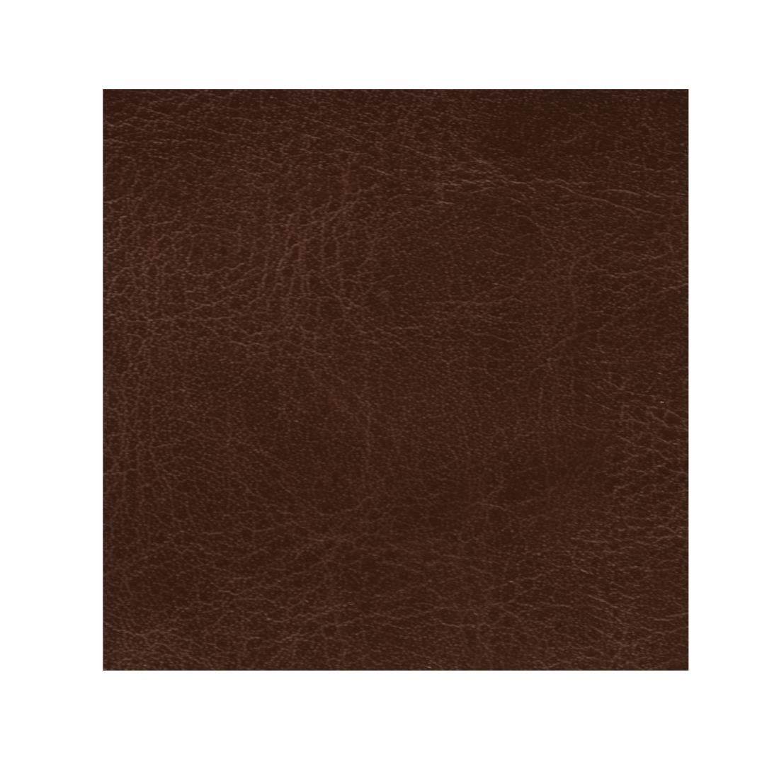 AJ844 Bolero Antique Tan Faux Leather Swatch