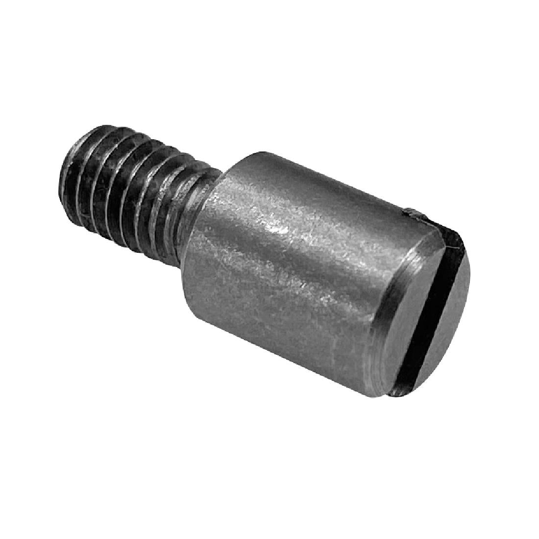AP341 Buffalo Door Screw