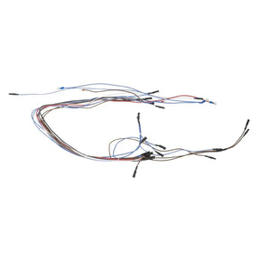 AT032 Buffalo 600 Series Internal Wiring Group - JD Catering Equipment Solutions Ltd