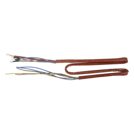 AT052 Buffalo 600 Series Internal Wiring Group - JD Catering Equipment Solutions Ltd