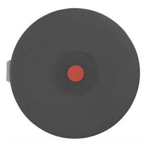 Buffalo Hot Plate