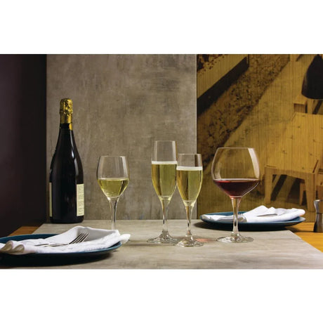 CC669 Schott Zwiesel Mondial White Wine Crystal Goblets 250ml (Pack of 6) - JD Catering Equipment Solutions Ltd