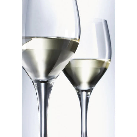 CC669 Schott Zwiesel Mondial White Wine Crystal Goblets 250ml (Pack of 6) - JD Catering Equipment Solutions Ltd