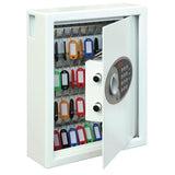 CG606 Phoenix Key Safe