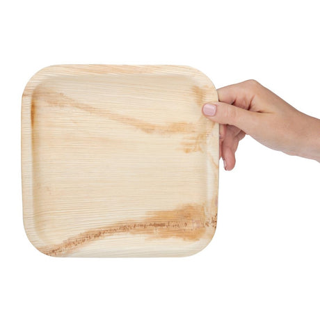 HT872 Fiesta Compostable Palm Leaf Plates Square 200mm (Pack of 100)