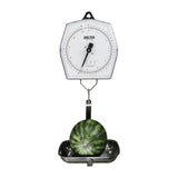 DP047 Brecknell 235-10S Mechanical Hanging Scale 5KG