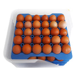 DP209 Araven Airtight Container with 4 Egg Trays GN 2/3 200mm