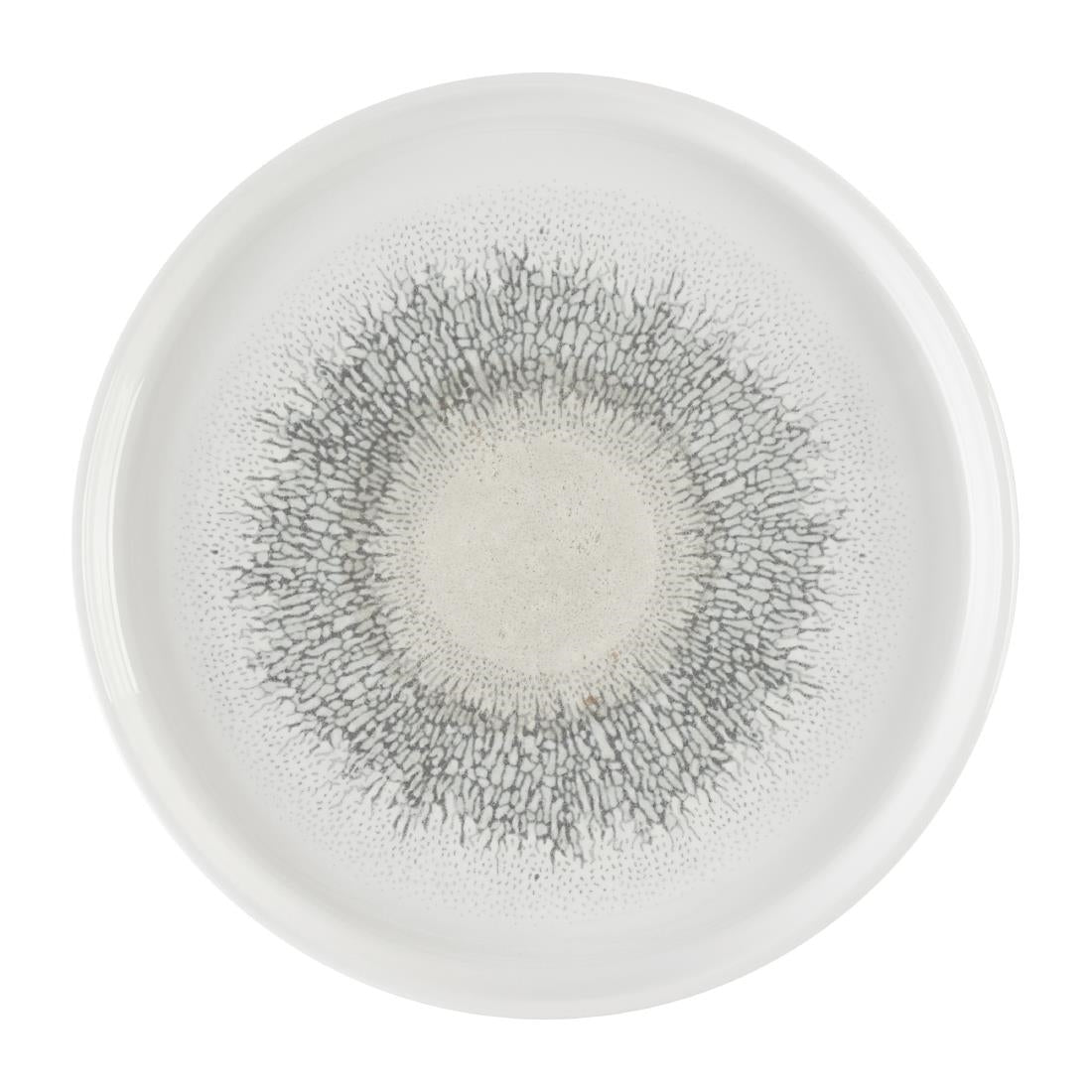 DX831 Churchill Studio Prints Fusion Agate Grey Chefs' Walled Plate 210mm (Pack of 6)