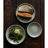 DX869 Dudson Harvest Grain Speckled Green Organic Coupe Bowl 210mm (Pack of 12) – supplier image 3