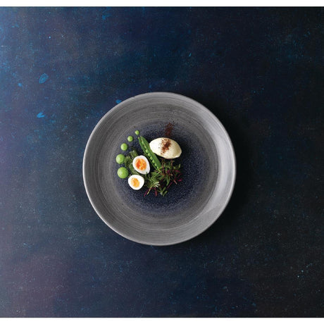 FD849 Churchill Stonecast Aqueous Grey Evolve Coupe Plate 10.25" (Box 12) (Direct) - JD Catering Equipment Solutions Ltd